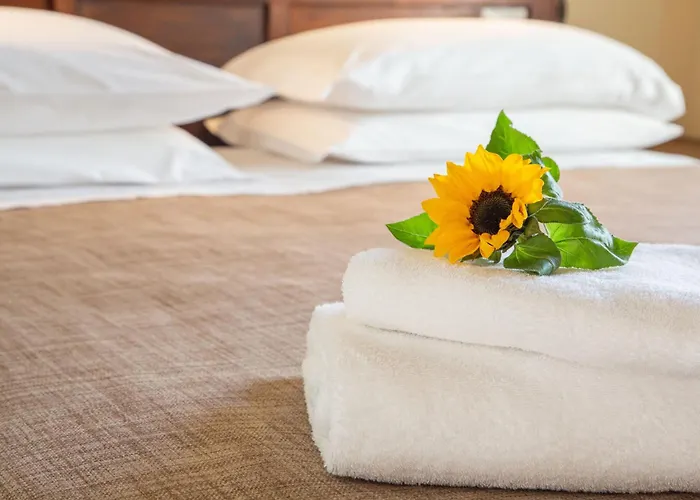 게스트하우스 Certosa 1515 아비글리아나